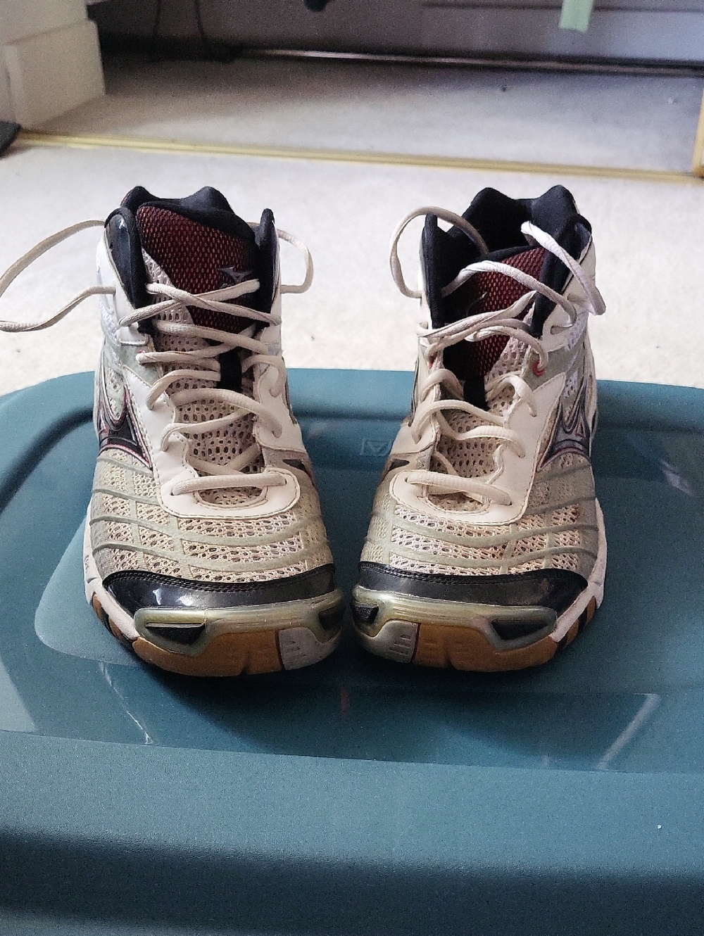 Mizuno Volleyball Sneakers